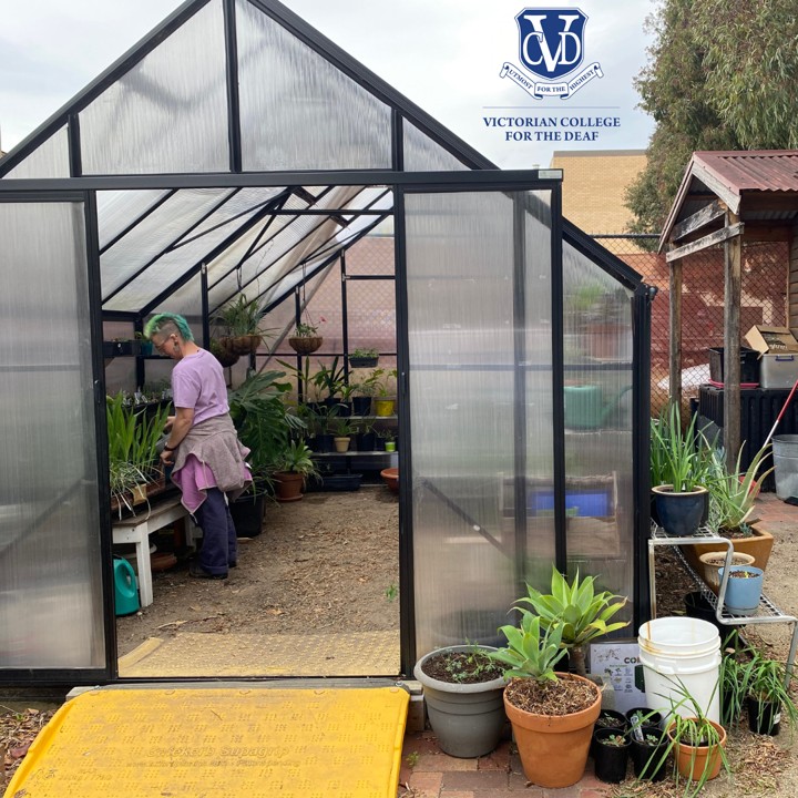Woman in a greenhouse watering plants