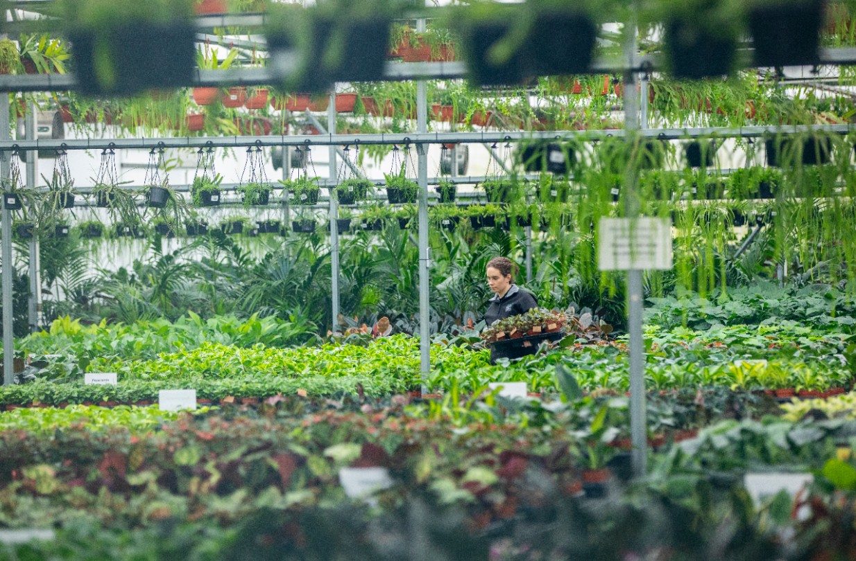 South East Water, Dans Plants