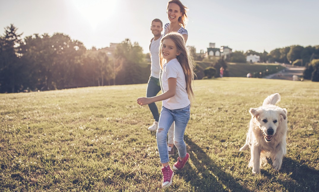Beautiful happy family is having fun with golden retriever outdoors. Mother, father and daughter are running with dog labrador in park.
