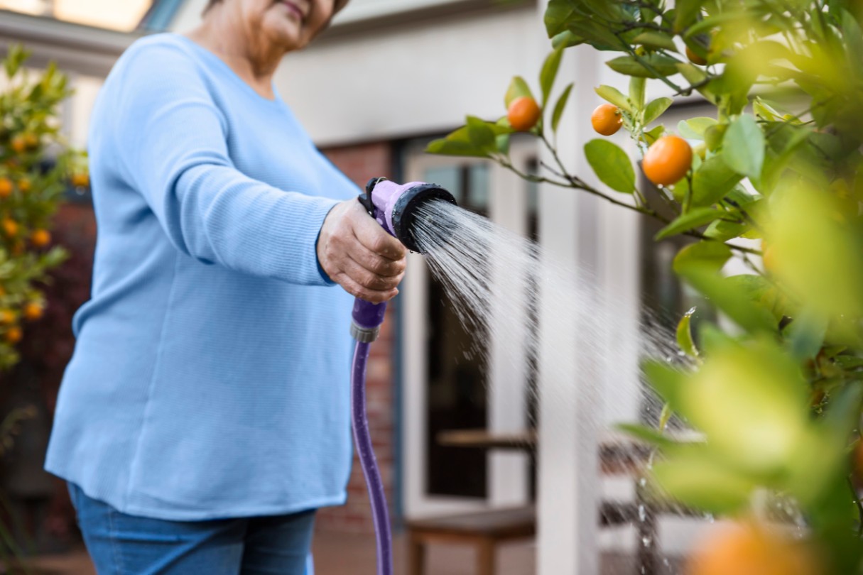 Watering the garden with recycled water