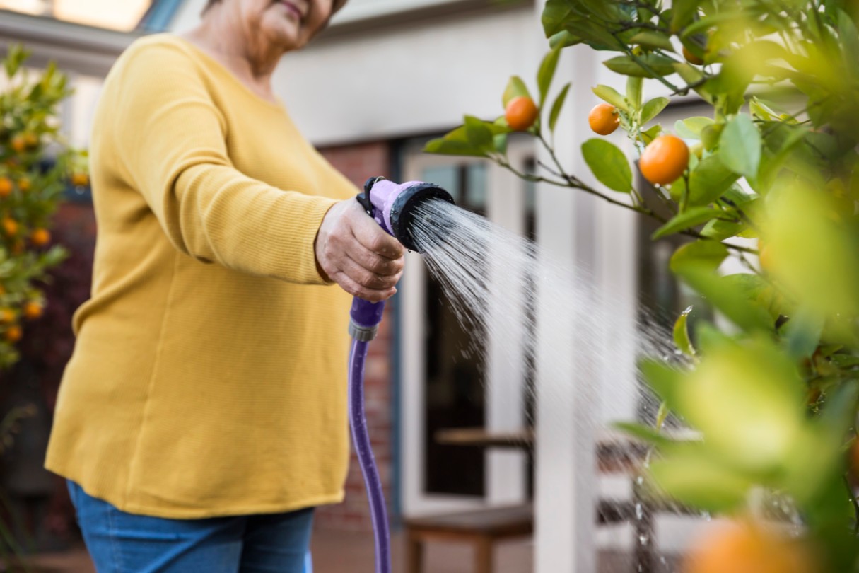 Watering the garden with recycled water